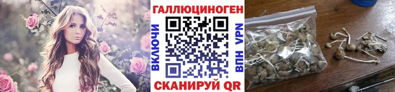 Псилоцибиновые грибы Psilocybine cubensis  маркетплейс Telegram  Абдулино 
