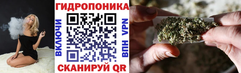 купить закладку Абдулино МЕГА ONION Шишки марихуана семена